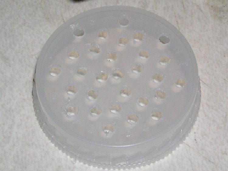 Polyethylene liner from a pill bottle cap, which I drilled with many holes, as shown, to serve as a filter.